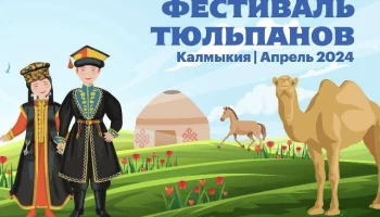 Фестиваль тюльпанов